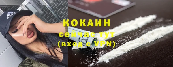 первитин Богородицк