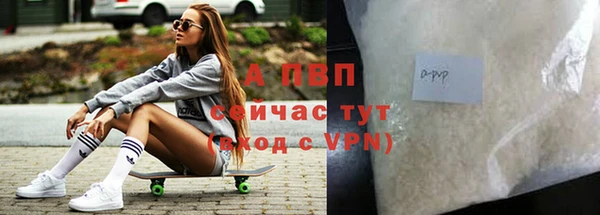 PSILOCYBIN Богданович