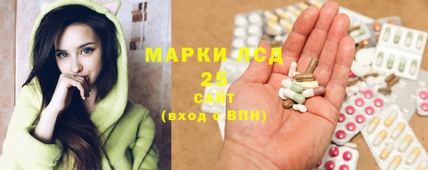 PSILOCYBIN Богданович