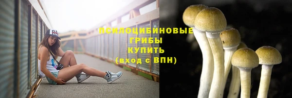 PSILOCYBIN Богданович