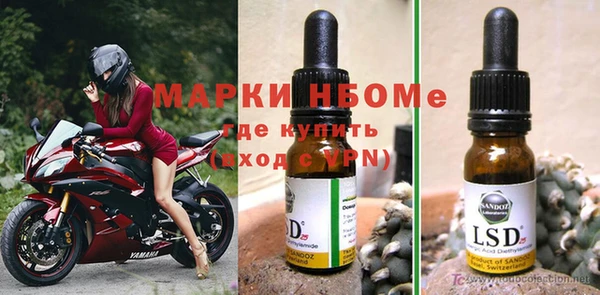 PSILOCYBIN Богданович