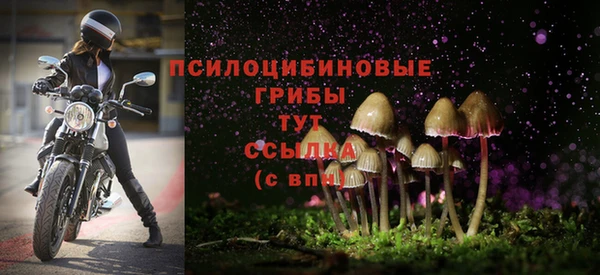 альфа пвп Богородск
