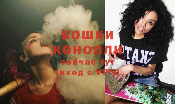 PSILOCYBIN Богданович