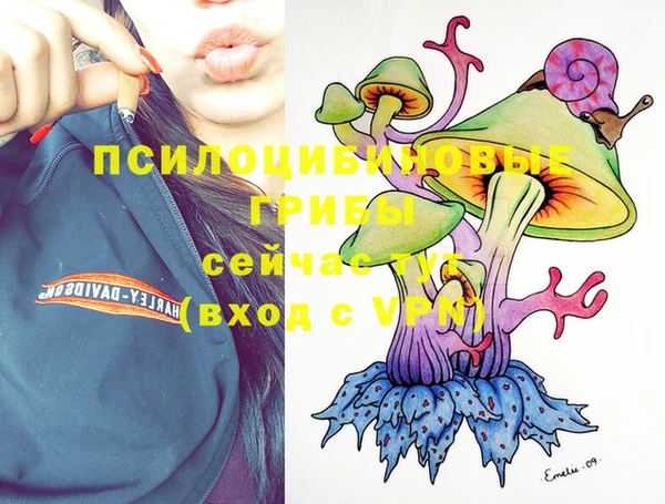 первитин Богородицк